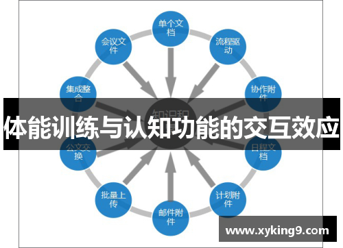 体能训练与认知功能的交互效应