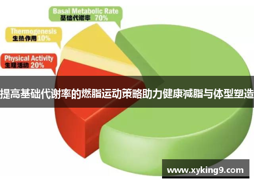 提高基础代谢率的燃脂运动策略助力健康减脂与体型塑造